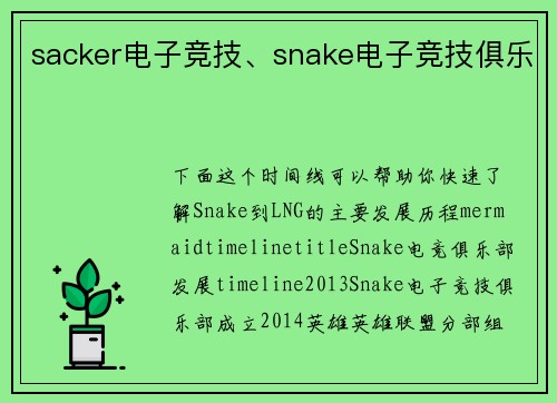sacker电子竞技、snake电子竞技俱乐